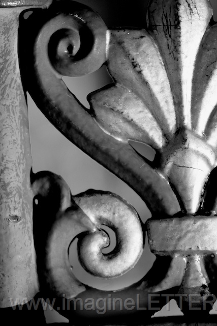 Wall_Art_Alphabet_Photography_Art_ 2022.jpg